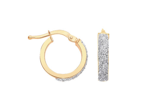 9ct 14mm Plain & Frosted Hoop Earrings